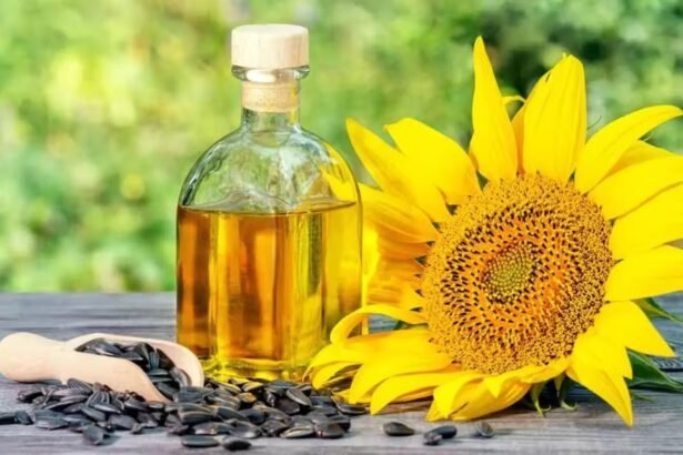 भारत में बढ़ते सूरजमुखी तेल आयात और खाद्य तेल बाजार