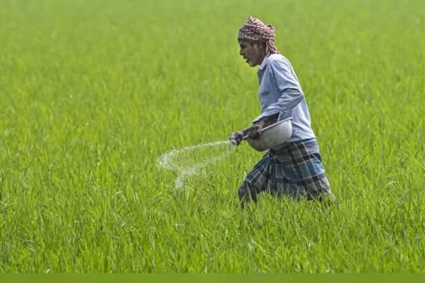 राजस्थान में डीएपी और यूरिया की उपलब्धता तथा नैनो खाद की टैगिंग को लेकर किसानों की शिकायतें