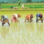 देवरिया के भटनी विकास खंड की खोरीबारी ग्राम पंचायत में बन रहा मल्टीपरपज सीड स्टोर