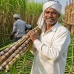 गन्ना किसानों की मांगों, गन्ने के लाभकारी मूल्य और चीनी की न्यूनतम बिक्री कीमत की समीक्षा के लिए केंद्र सरकार द्वारा गठित समिति