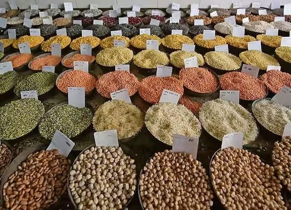 भारत में अरहर, चना, मसूर और उड़द की दालों की बढ़ती कीमतों और आयात में तेजी को दर्शाती तस्वीर