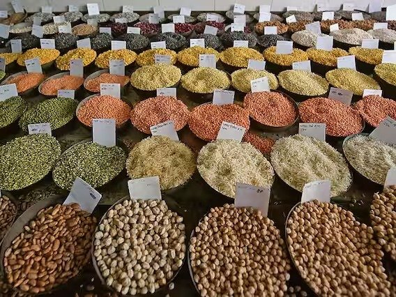 भारत में अरहर, चना, मसूर और उड़द की दालों की बढ़ती कीमतों और आयात में तेजी को दर्शाती तस्वीर