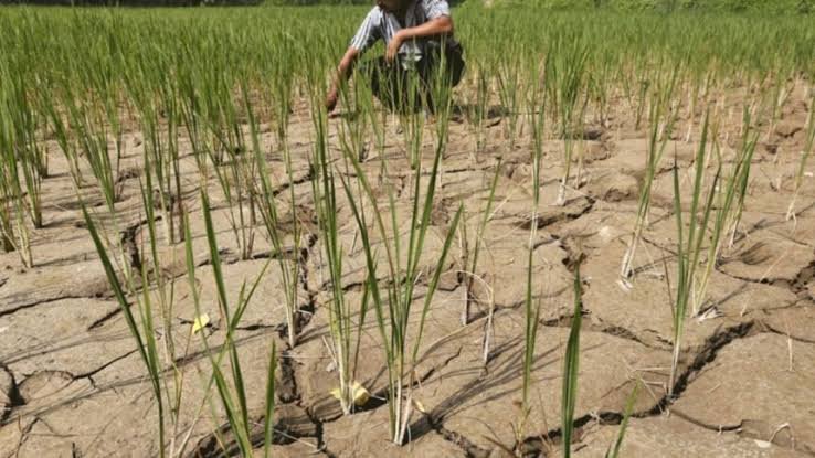 Maharashtra drought assessment, crop damage and water